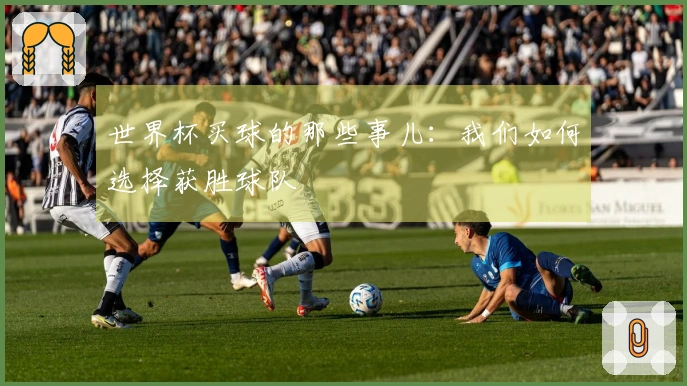 世界杯买球的那些事儿：我们如何选择获胜球队