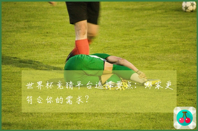 世界杯竞猜平台选择要点：哪家更符合你的需求？
