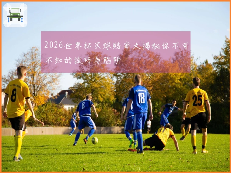 2026世界杯买球赔率大揭秘你不可不知的技巧与陷阱