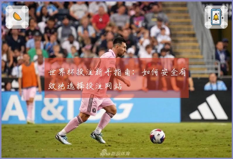 世界杯投注新手指南：如何安全有效地选择投注网站