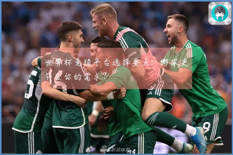 世界杯竞猜平台选择要点：哪家更符合你的需求？