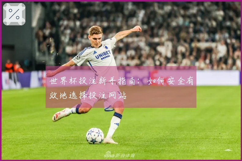 世界杯投注新手指南：如何安全有效地选择投注网站