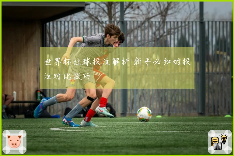 世界杯让球投注解析 新手必知的投注对比技巧