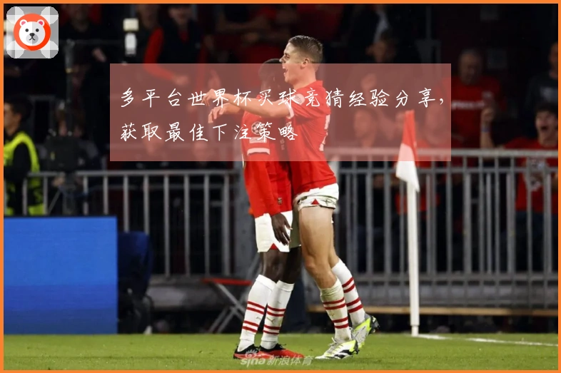 多平台世界杯买球竞猜经验分享，获取最佳下注策略